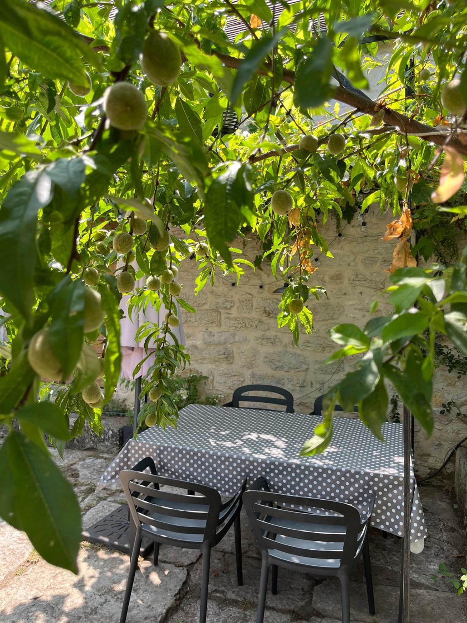 Charmante Maison De Village Holiday home